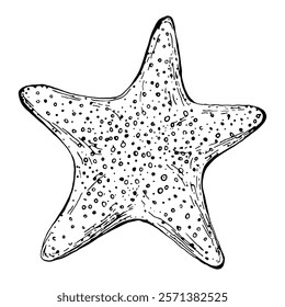 Hand drawn starfish in outline engraving style. Isolated on a white background. Vector illustration. Perfect for invitations, greeting cards, postcard, print, fashion design, t-shirts, pillows, plates