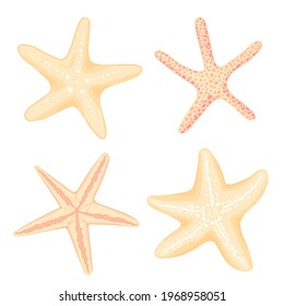 Hand drawn Starfish set, flat cartoon style. Aquarium fauna, reef habitats marine icon. Summer nature ocean aquatic underwater vector illustration for graphic design, web site. Sticker collection.