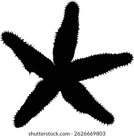 Hand drawn starfish silhouette illustration. Ocean animal silhouette.
