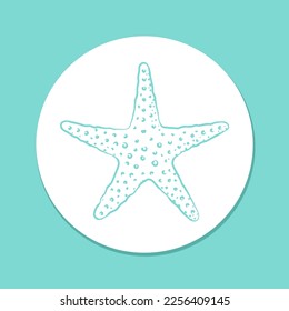 Hand drawn starfish sticker, aquatic marine life illustration