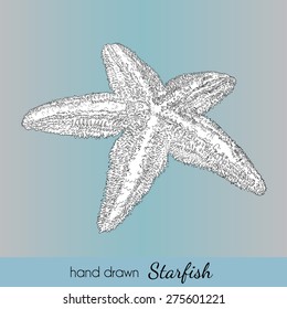 Hand drawn starfish. Vector illustration for travel card, template, zoology, print etc.