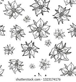 Hand drawn Starflower seamless pattern. Vintage ink borage flower pattern.  Stylish monochrome black and white floral vector illustration.  Endless texture. Botanical background