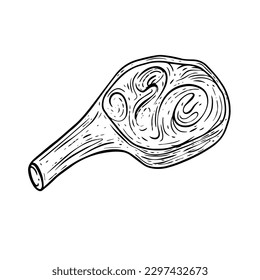 Hand drawn steak on the bone black color sketch art vector illustration.