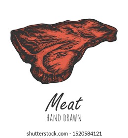 Hand drawn steak vintage vector illustration, isolated colored design element.