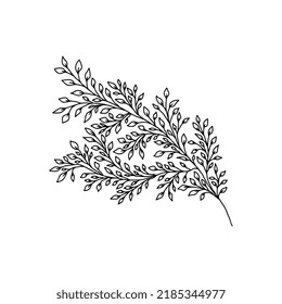 Stem dibujado a mano con hojas, garrapatas y hierba en estilo doodle. Diseño de arte de árbol. Negro aislado sobre elementos blancos para el diseño