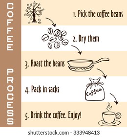 Hand drawn steps of coffee process in brown colors, young coffee sprout to hot coffee drink, sketch style on white and beige background