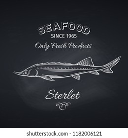 Hand drawn sterlet fish on chalkboard. Seafood icon menu restaurant design. Engraving style. Vector illustration.