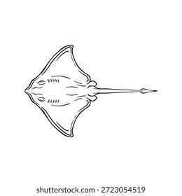 Hand Drawn Stingray Line Art Illustration, Black and White Marine Animal Sketch Vector