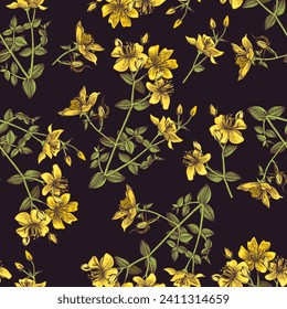 hand drawn St.Johns wort plant seamless pattern