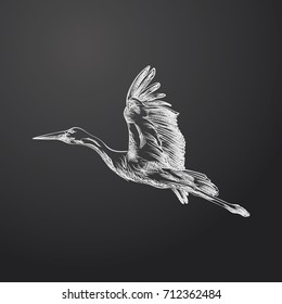 Hand Drawn Stork Sketch Symbol isolated on chalkboard. Vector  Element In Trendy Style