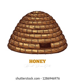 Hand drawn straw bee hive. Vector colorful sketch for beekeeping and apiculture. Engraving illustration for honey and mead company and business