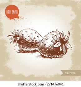 Hand drawn strawberries isolated on vintage background.Retro sketch style vector eco food illustration
