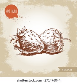 Hand drawn strawberries isolated on vintage background.Retro sketch style vector eco food illustration