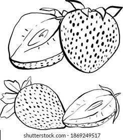 Hand Drawn Strawberries Vector Illustrations in black and white