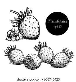 Hand drawn strawberry