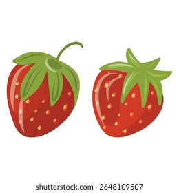 Hand drawn strawberry berries vector illustration on a white background, fresh and sweet berries 