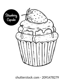 Hand drawn strawberry cupcake vector Illustration. Sketch vintage style. Design template. Retro background.