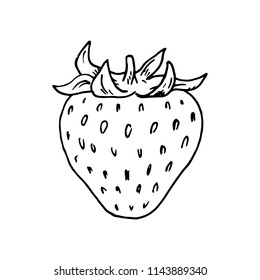 Hand Drawn strawberry doodle. Sketch style icon. Decoration element. Isolated on white background. Cartoon design. Vector illustration.