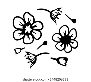 Hand drawn strawberry flowers before the appearance of berries. Doodle vector illustration. Abstract drawing