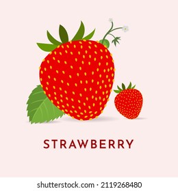 Hand drawn strawberry fruit illustration Vector. Strawberry fruit icon concept isolated. Strawberry fruit cartoon icon vector illustration. 