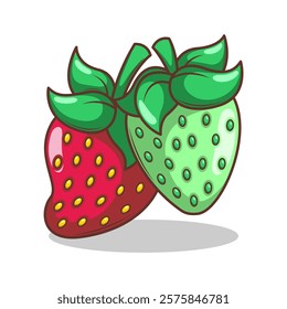 hand drawn strawberry fruit illustration art