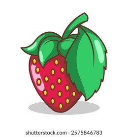 hand drawn strawberry fruit illustration art