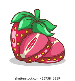 hand drawn strawberry fruit illustration art