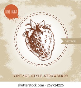 Hand drawn strawberry isolated on vintage background.Retro sketch style vector eco food illustration.