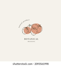 Hand drawn strawberry logo. Botanical illustration