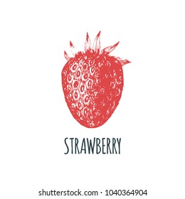 Hand drawn strawberry on white background. Vector illustration of fruit. Vegetarian food sketch. Farm market product.