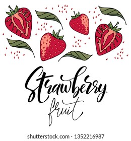 Hand drawn Strawberry vector