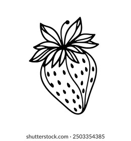 Hand Drawn Strawberry Vector Illustration - Continuous Line Nature Food Graphic