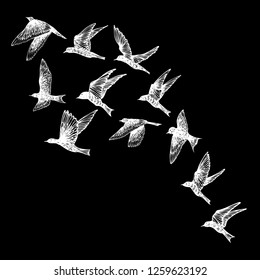 Hand drawn strokes birds, flock. Drawing sketch. On black background. Inspirational body flash tattoo ink.  Vector.