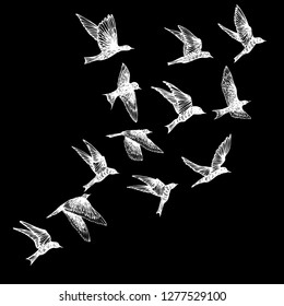 Hand drawn strokes birds, flock. Drawing sketch. On black background. Inspirational body flash tattoo ink.  Vector.