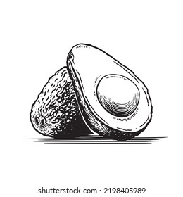 El aguacate de estilo dibujado a mano. Esbozo vintage para etiquetas y empaque. Dibujo detallado de alimentos