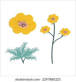 hand drawn style california poppy daisy in a set