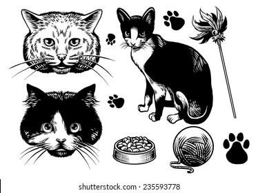 hand drawn style cat collection