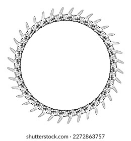 hand drawn style circle frame on white background