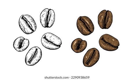 Hand drawn style coffee beans colorful and black color sketch art vector illustration isolated on white background.