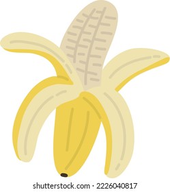 Hand drawn style fruit banana