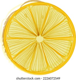 Hand drawn style fruit lemon