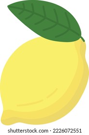 Hand drawn style fruit lemon