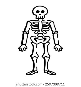 A hand drawn style icon showcasing human skeleton 
