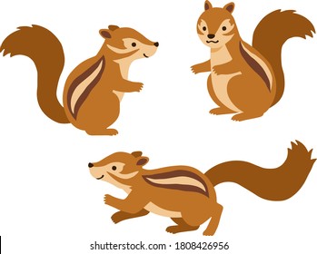 Handgezeichnete Illustration-Set von Eichhörnchen (Chipmunk)