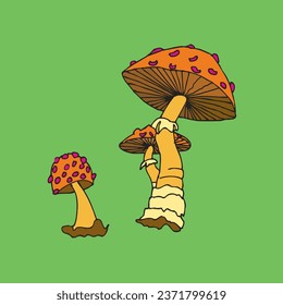 Hand drawn style mushrooms isolated on green background. Vector illustration.