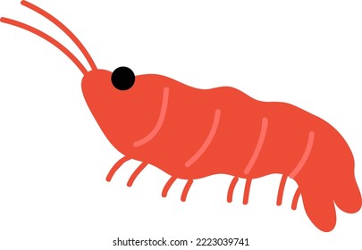 Hand drawn style ocean shrimp