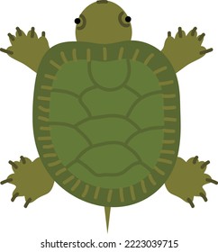Hand drawn style ocean turtle