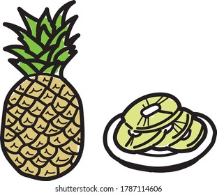 
Hand drawn style, pineapple illustration