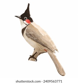 hand drawn style red whiskered bulbul bird standing on the branches of the tree vector