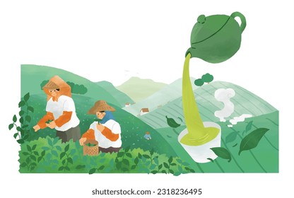 Hand drawn style tea farmers collecting tea leaves and green tea pouring out from teapot into teacup in beautiful terraced fields.